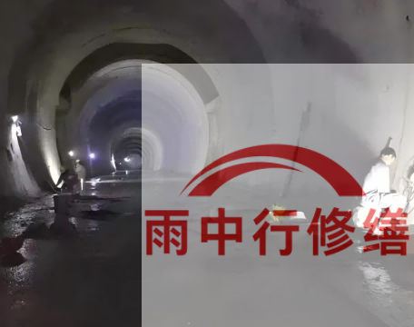 广东长安镇隧道堵漏工程案例