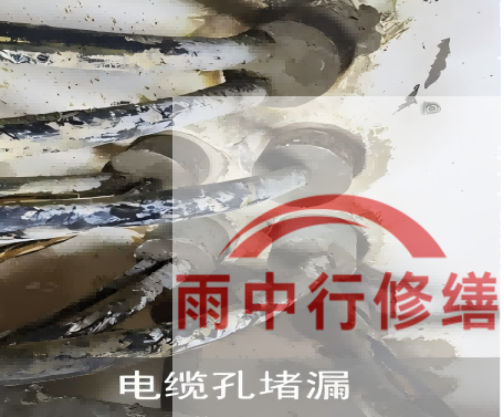 广东电缆线空洞堵漏加固案例