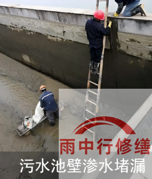 广东2026年防水龙头半月两次涨价，行业格局重塑信号