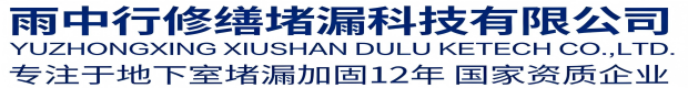 广东雨中行科技防水堵漏工程有限公司